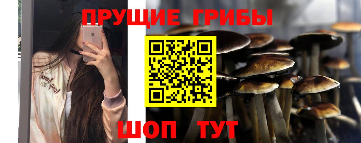 Псилоцибиновые грибы Psilocybe  Галлюциногенные грибы прущие грибы  Анапа  Вход с VPN 